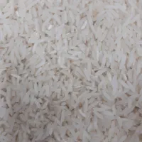 برنج شیرودی محلی