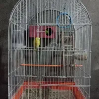 معاوضه نیستم ،(فروشی)