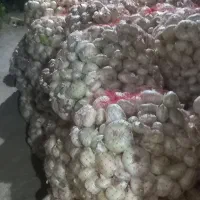 پیاز خوردن|خوردنی و آشامیدنی|زاوه, |دیوار