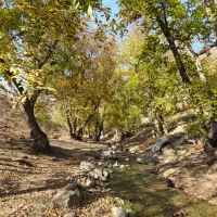 دامداری ۱۲۰۰۰ متر سند ششدانگ