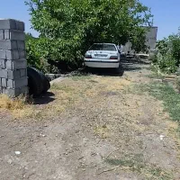 باغ ۱۱ نیم مَن پشت فرودگاه