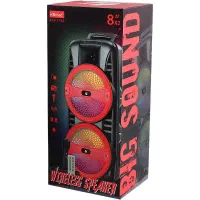 اسپیکر چمدانی بلوتوثی رم و فلش خور KTS-1745