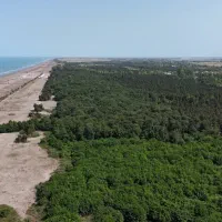 زمین ۴هکتاری دوکله ساحلی الماس نادر سرمایهگذاری|فروش زمین و ملک کلنگی|لاهیجان, شیخ زاهد|دیوار