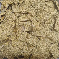 استخدام|استخدام بازاریابی و فروش|کاشان, دانش|دیوار