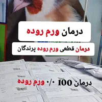 قناری سهره