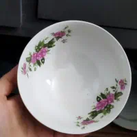 ظرف چینی|ظروف سرو و پذیرایی|اردکان, |دیوار