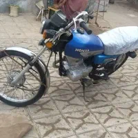 کفتر سالم بضمانت