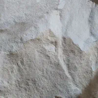 دان مرغ ودام