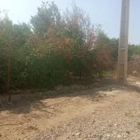 یک قطعه۶۰۰ متری باغ در اسکندر آباد|فروش خانه و ویلا|اندیمشک, |دیوار