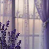 دفتر فنی هستم با سه سال سابقه