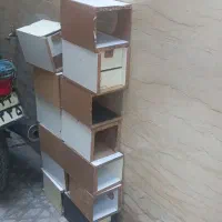 لونه عروس هلندی