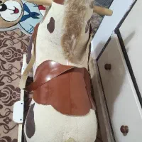 راکر اسب|اسباب‌بازی بچه|رشت, رشتیان|دیوار