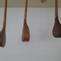 سه تار کتابی زیر عبایی