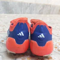 استوک پریدیتور|کیف، کفش، کمربند|ری, علایین|دیوار