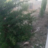 اجاره ربع هکتار پشتلر