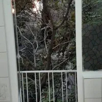 َشریعتی مطهری سروش ۵۲متر۱خواب پارکینگ انباری|اجارهٔ آپارتمان|تهران, حشمتیه|دیوار