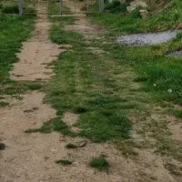 فروش زمین روستای چشمه سرنجه