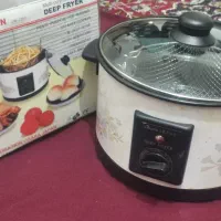 سرخ کن با روغن