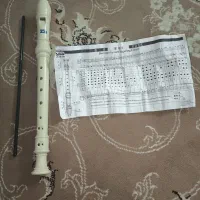 فلوت Dadi recorder|سازهای بادی|تهران, والفجر (افسریه)|دیوار