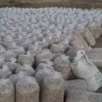 فروش تفاله بسته بندی چغندردونم