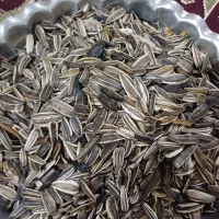 تخمه آفتابگردان