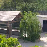 باغ-ویلا-دونبش-لوکیشن-تاپ