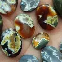 نگین شجر|کلکسیون اشیاء عتیقه|فسا, |دیوار