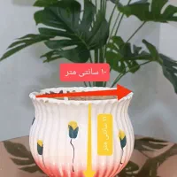 فروش تعدادی گلدان