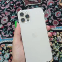ایفون ۱۲ پرو ریجستر شده