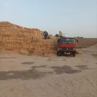 پرس‌کاه‌|عمده‌فروشی|چناران, |دیوار