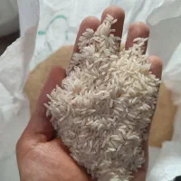 برنج شمیم
