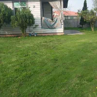 فروش زمین ۵۰۰ متری کاملن مسکونی|فروش زمین و ملک کلنگی|شاندرمن, |دیوار