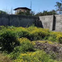 فروش زمین بافت مسکونی 225متری قراخیل