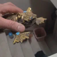 مجسمه پلیستری قورباغه