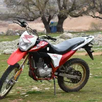 تریل برمودا xr 250
