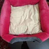خونه گربه در حد نو