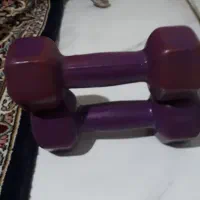 یک دنبل ۳ کیلویی|تجهیزات ورزشی|تهران, امامت|دیوار