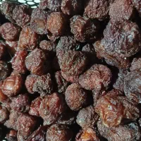 الو و  رب درجه یک