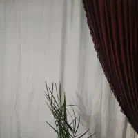 اجاره یک باب منزل مسکونی ماراب