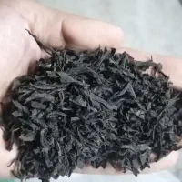 چای‌ بهاره املش بسیار عالی و خوش رنگ و خوش طعم