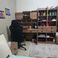 کتابخانه ومیزتحریر بالسا