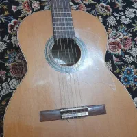 گیتار الحمراه c2|گیتار، بیس، امپلیفایر|بیرجند, |دیوار