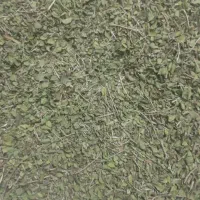 اویشن شیرازی