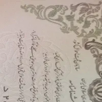 شناسنامه گم شده