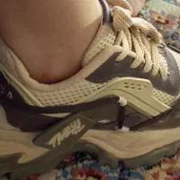 کفش نو می‌باشد