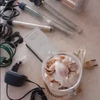 لوازم آکواریوم|ماهی|تهران, امام زاده عبدالله|دیوار