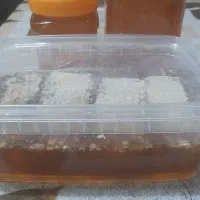 عسل طبیعی کوهستان الموت قزوین|خوردنی و آشامیدنی|رشت, کوی مهر|دیوار