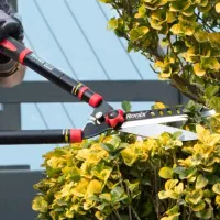 هرس و طراحی باغ انجام میشود