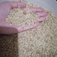 عدس فروشی