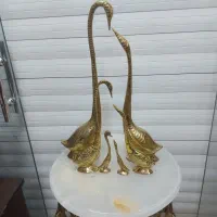 قوی عاشق برنجی جفتی